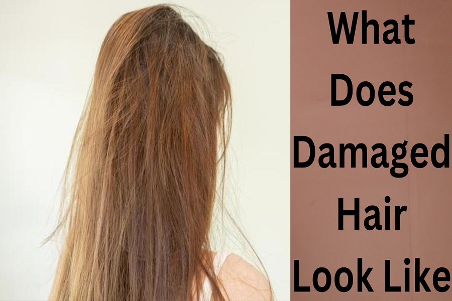 What Does Damaged Hair Look Like? Identify & Fix